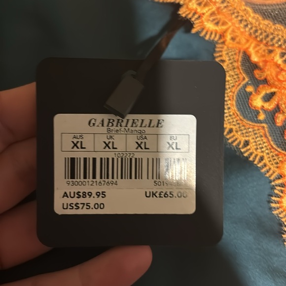 NWT Sold Out Honey Birdette brief - Picture 6 of 6